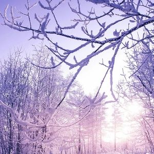 Closet temporarily closed